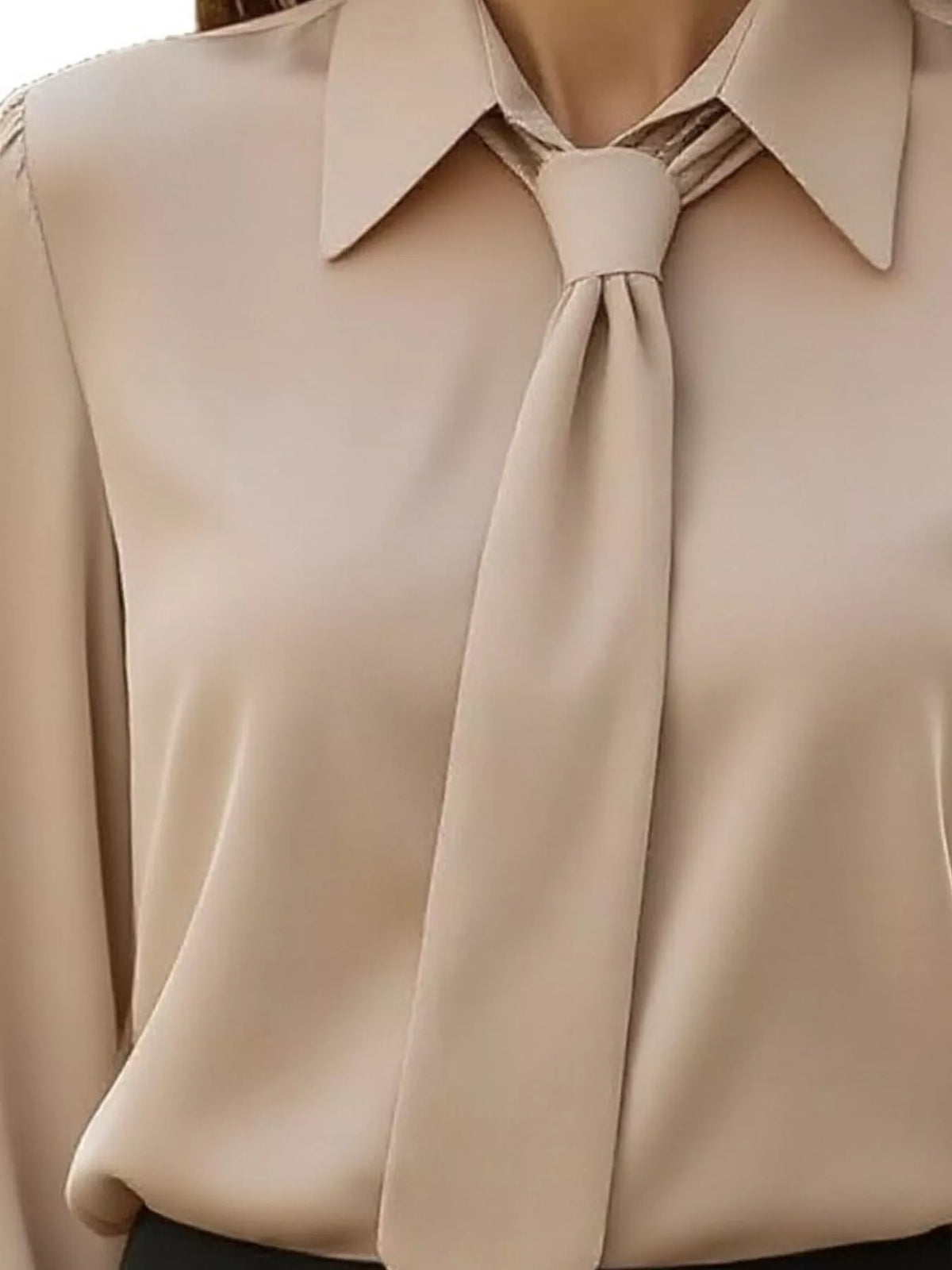 Tie-Neck Long Sleeve Blouse