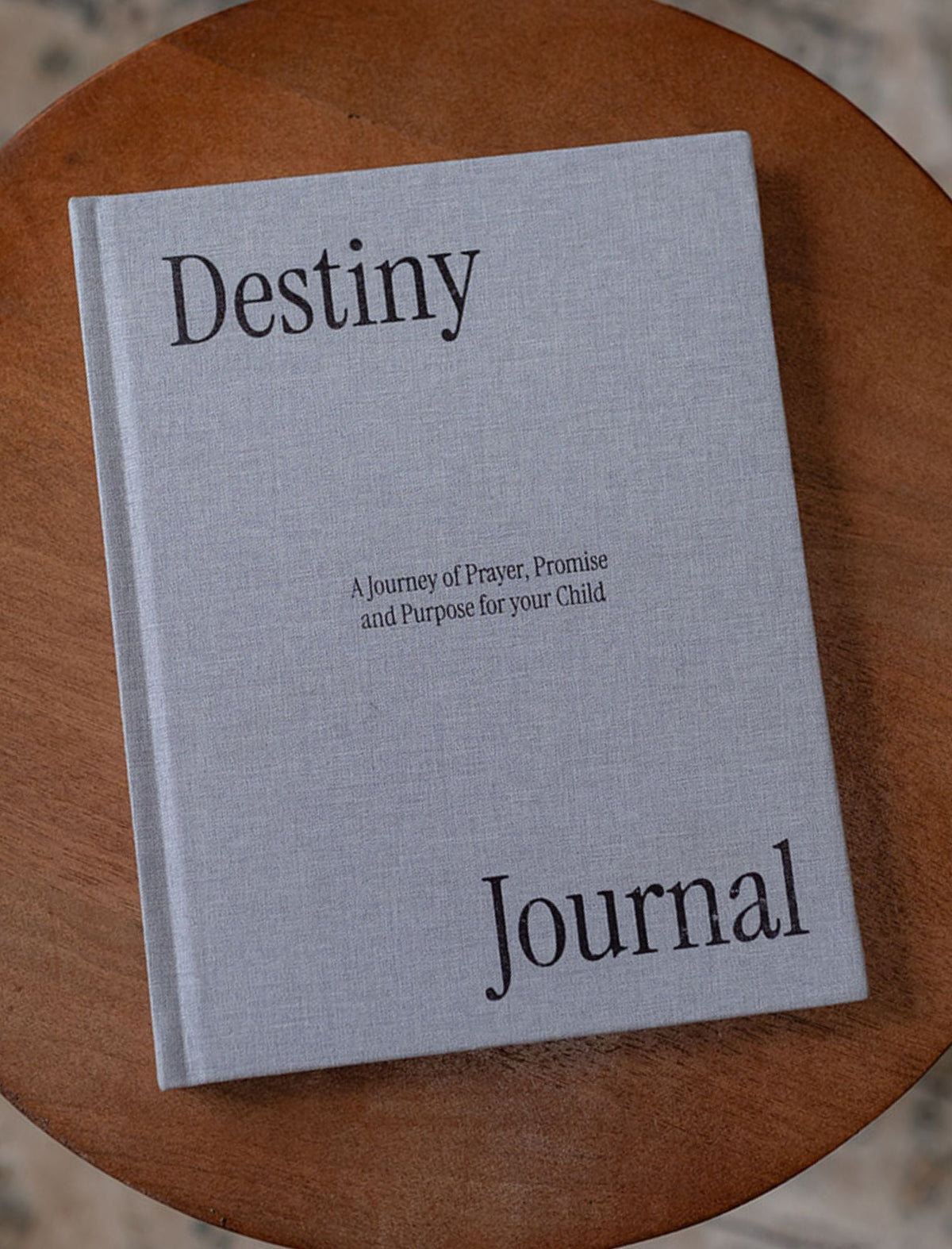Destiny Journal: Prayer, Promise, And Purpose For Your Child