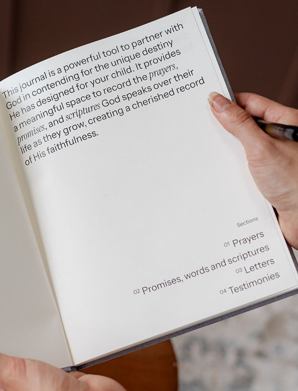 Destiny Journal: Prayer, Promise, And Purpose For Your Child