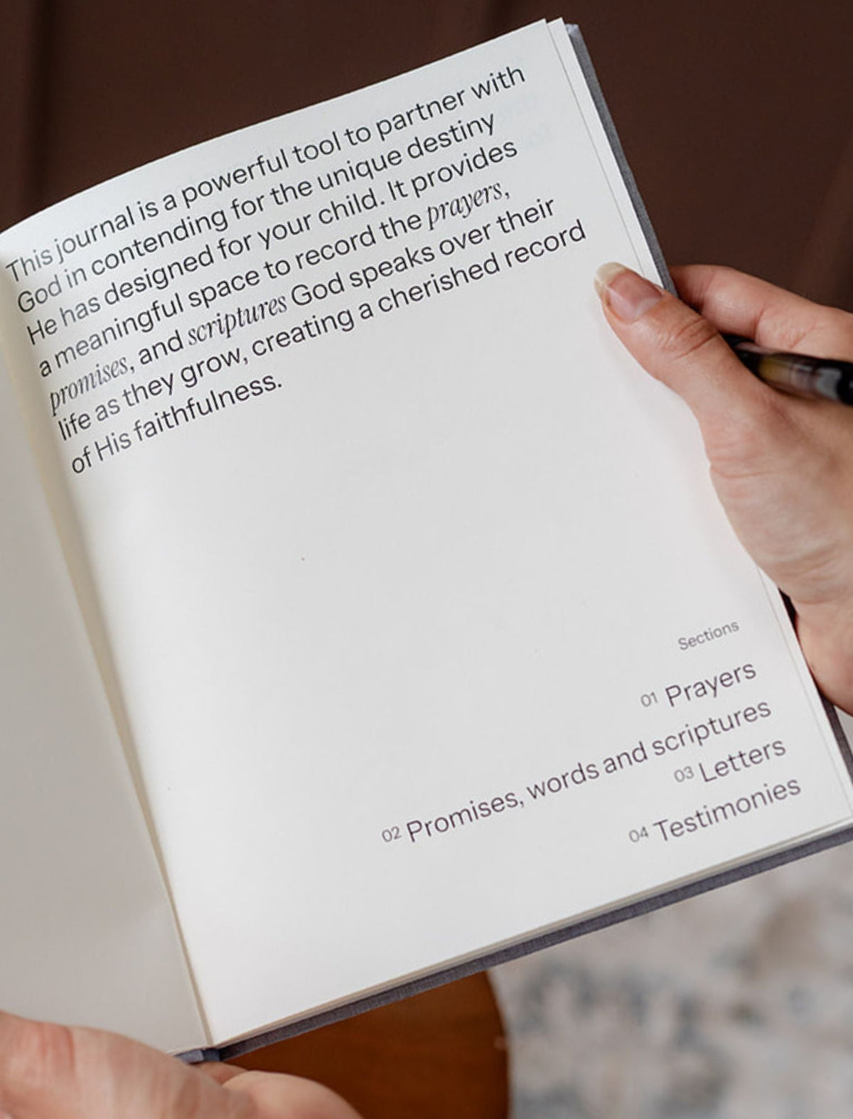 Destiny Journal: Prayer, Promise, And Purpose For Your Child