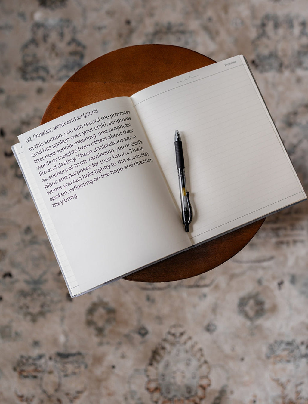 Destiny Journal: Prayer, Promise, And Purpose For Your Child