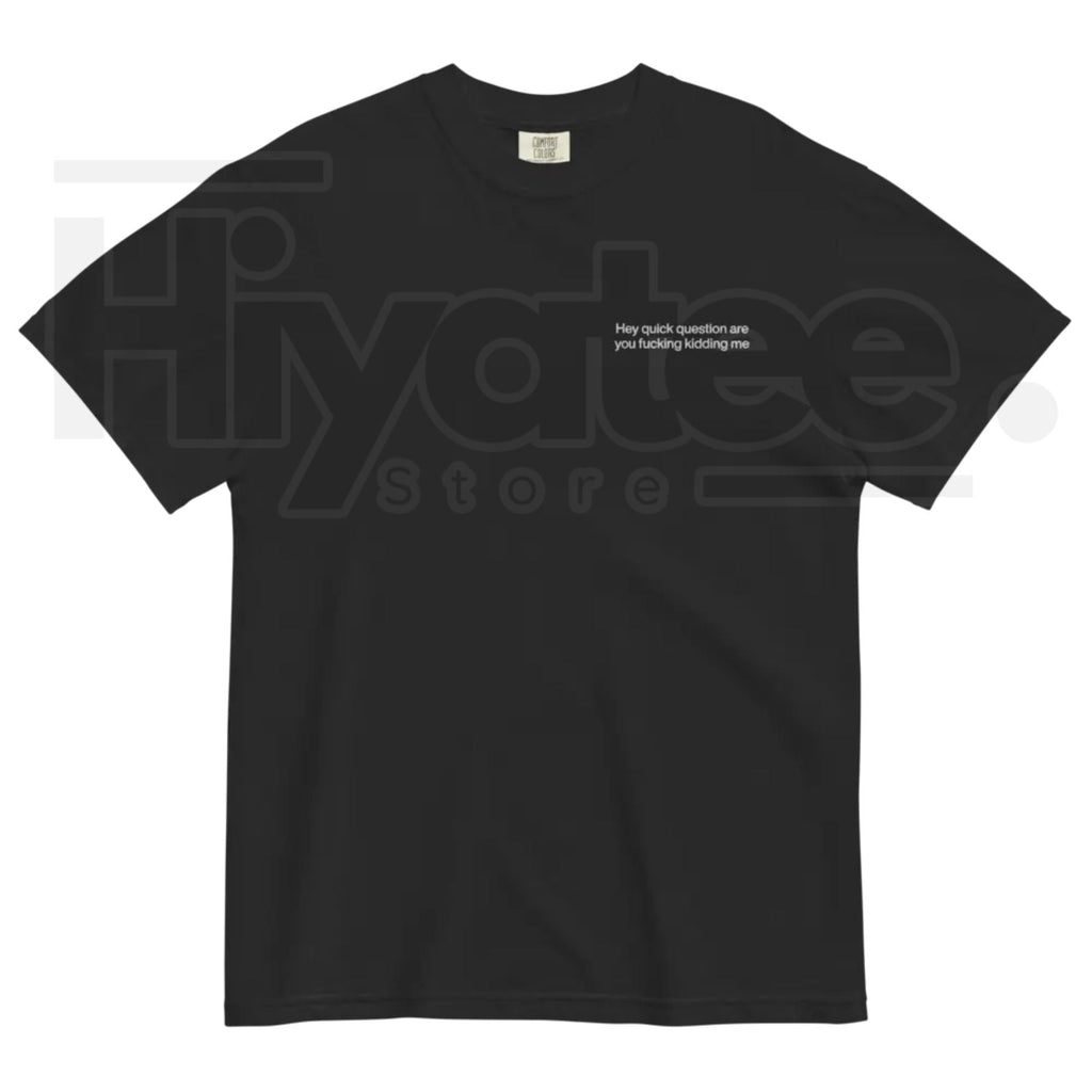 "Hey Quick Question Are You Kidding Me" Embroidered T-Shirt