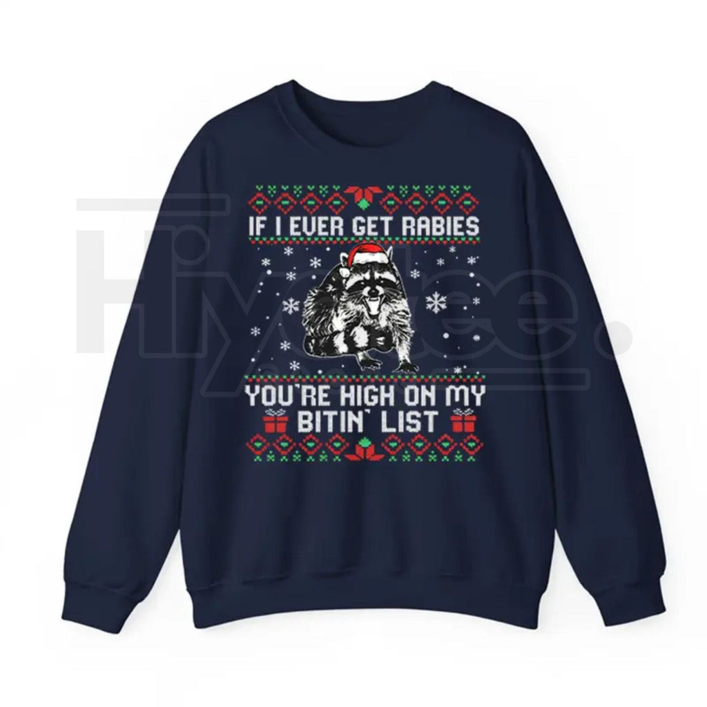 Funny Christmas Raccoon Sweatshirt: "You’re High On My Naughty List" Pullover, Retro Holiday Humor Jumper, Trash Panda Gift