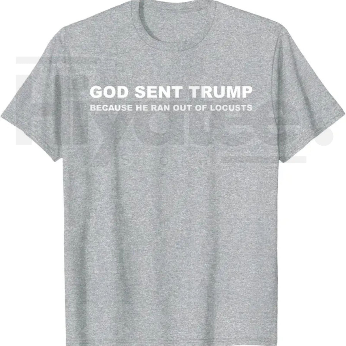 God Sent Trump Because He Ran Out of Locusts T-Shirt – Political Satire Graphic Tee