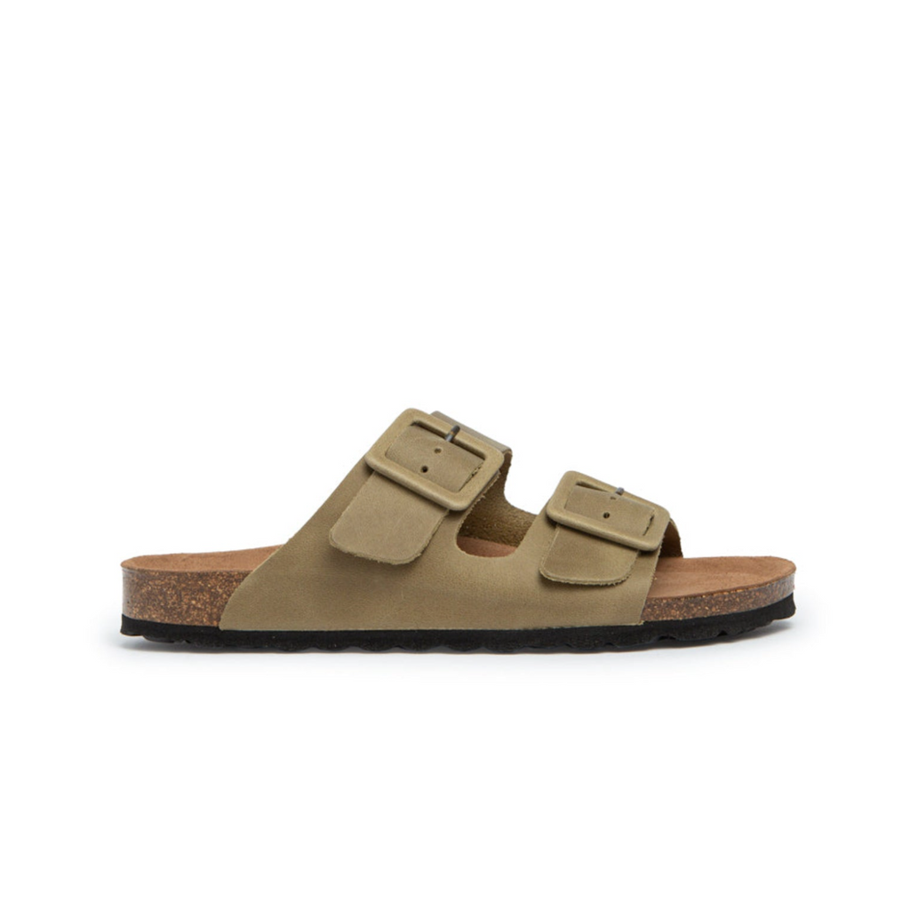 Bimini Olive