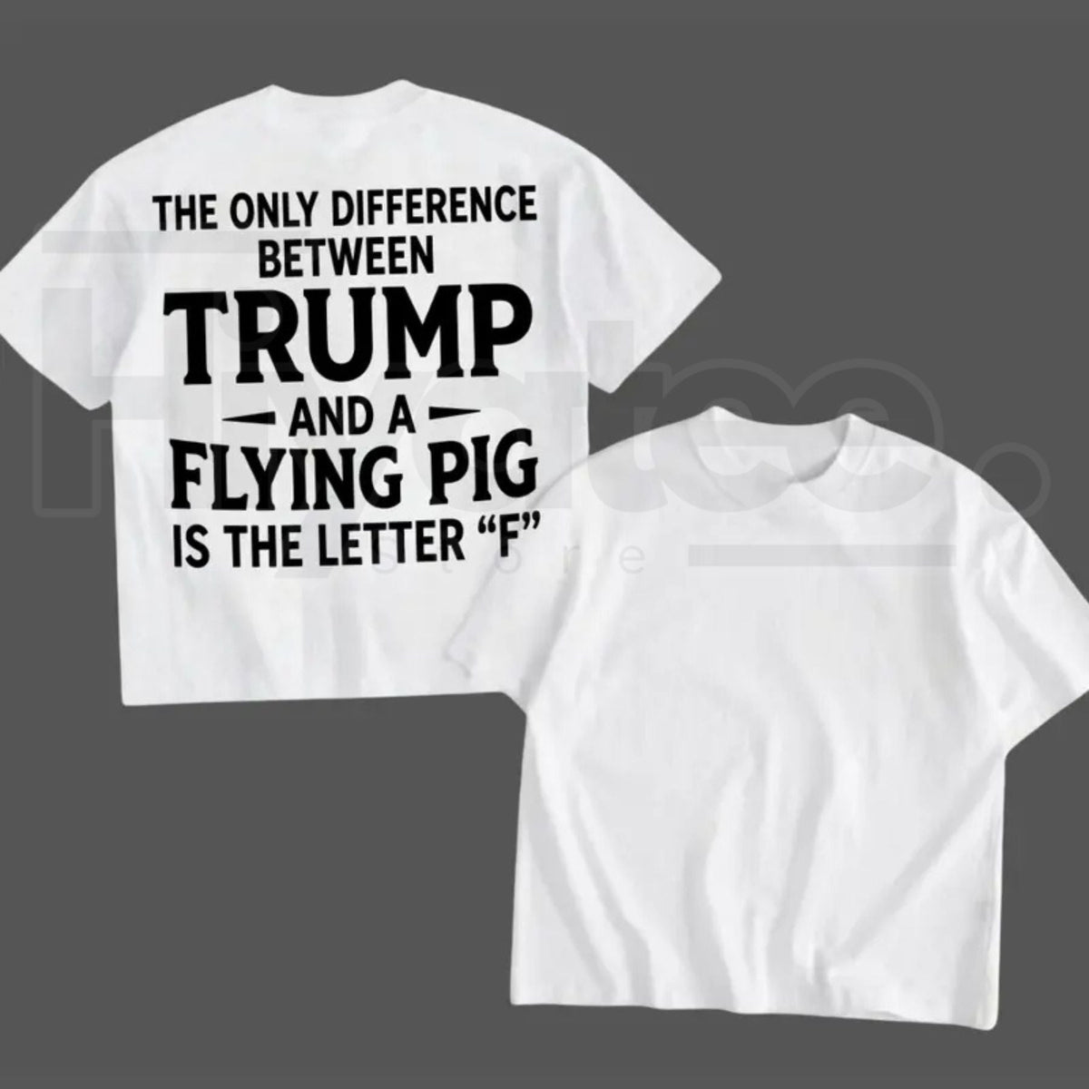 Funny Election Graphic T-Shirt – Humorous Quote Tee, 1-Sided Printed Daily Casual Shirt, Made in USA Gift for Men & Women