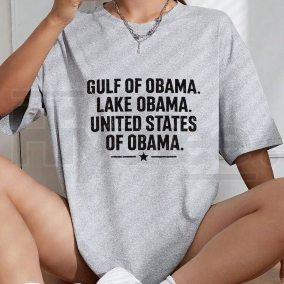 Gulf Of Obama Lake Obama United States Of Obama T-Shirt – Lake Ontario Meme Tee