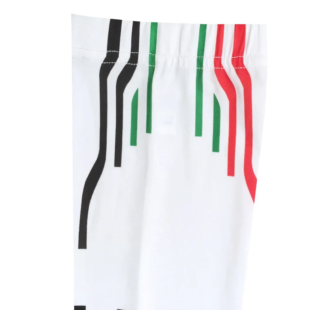 UAE Team 2026 Cycling Arm Warmers