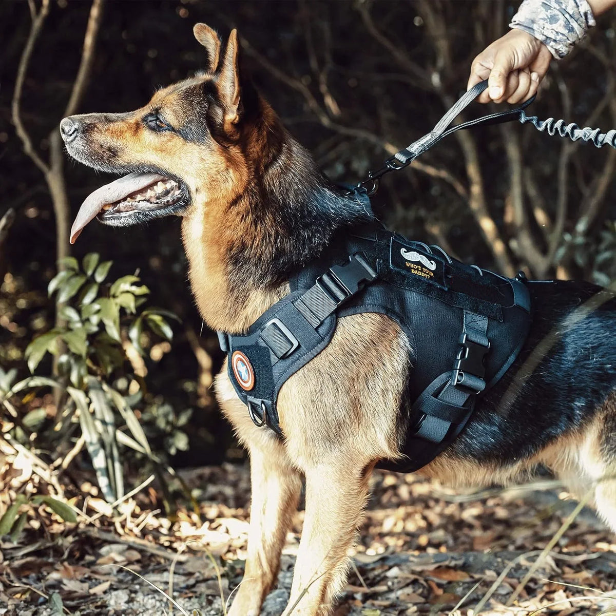 TactiGrip No-Pull Dog Vest: Adjustable & Secure