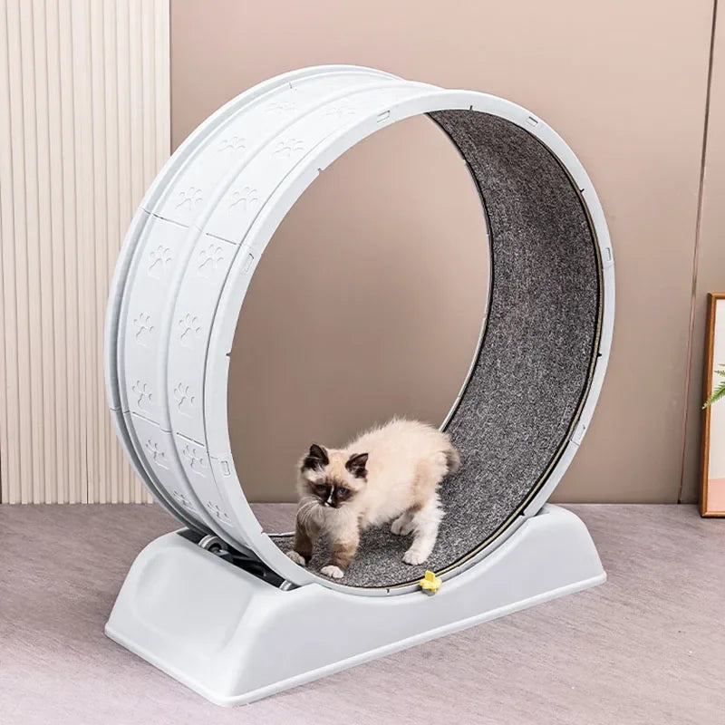 Purrfect Fit: Silent Cat Exercise Wheel