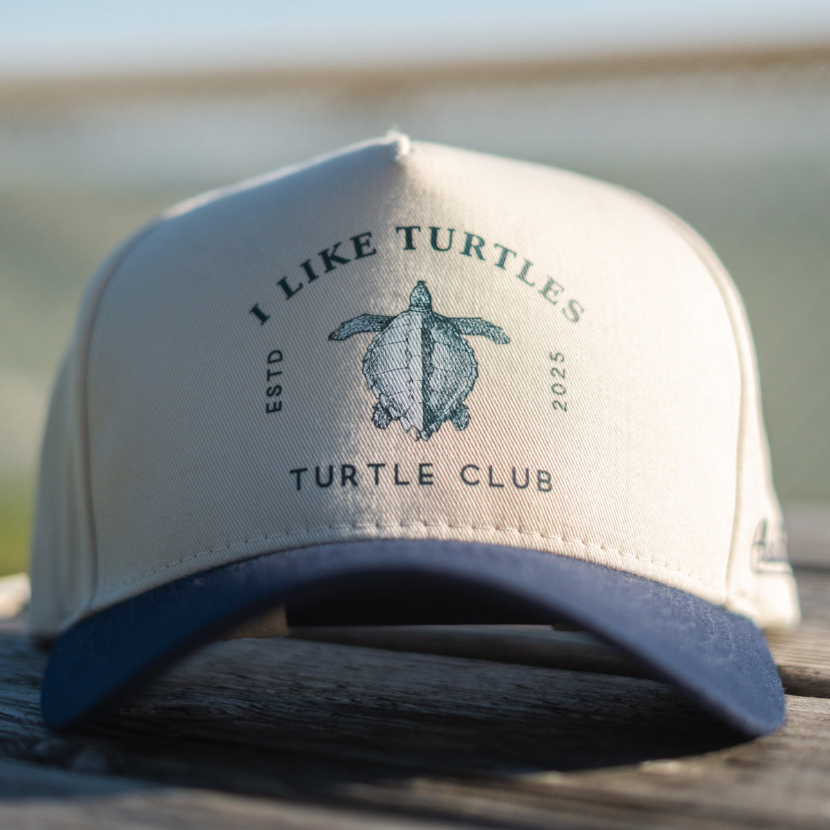 The Turtley Awesome Hat