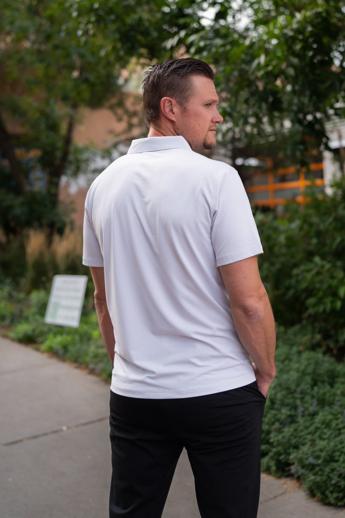 momentum polo
