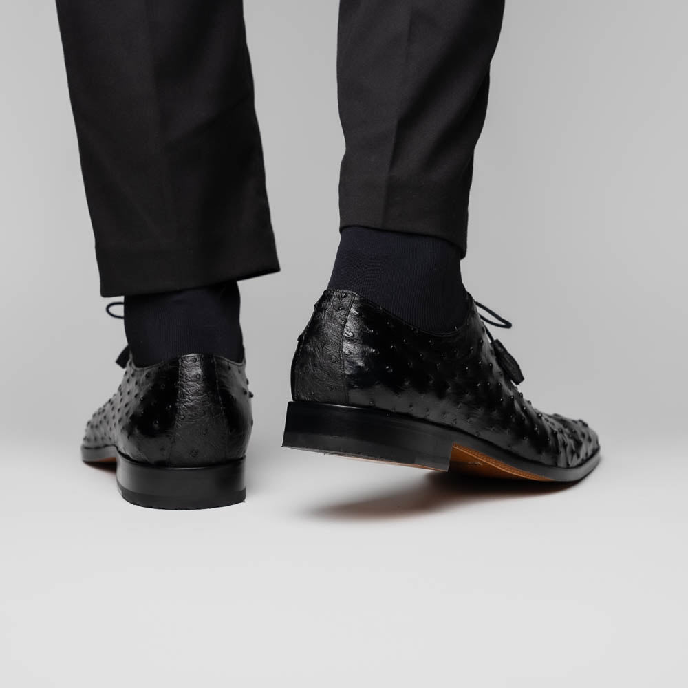 Criss Black