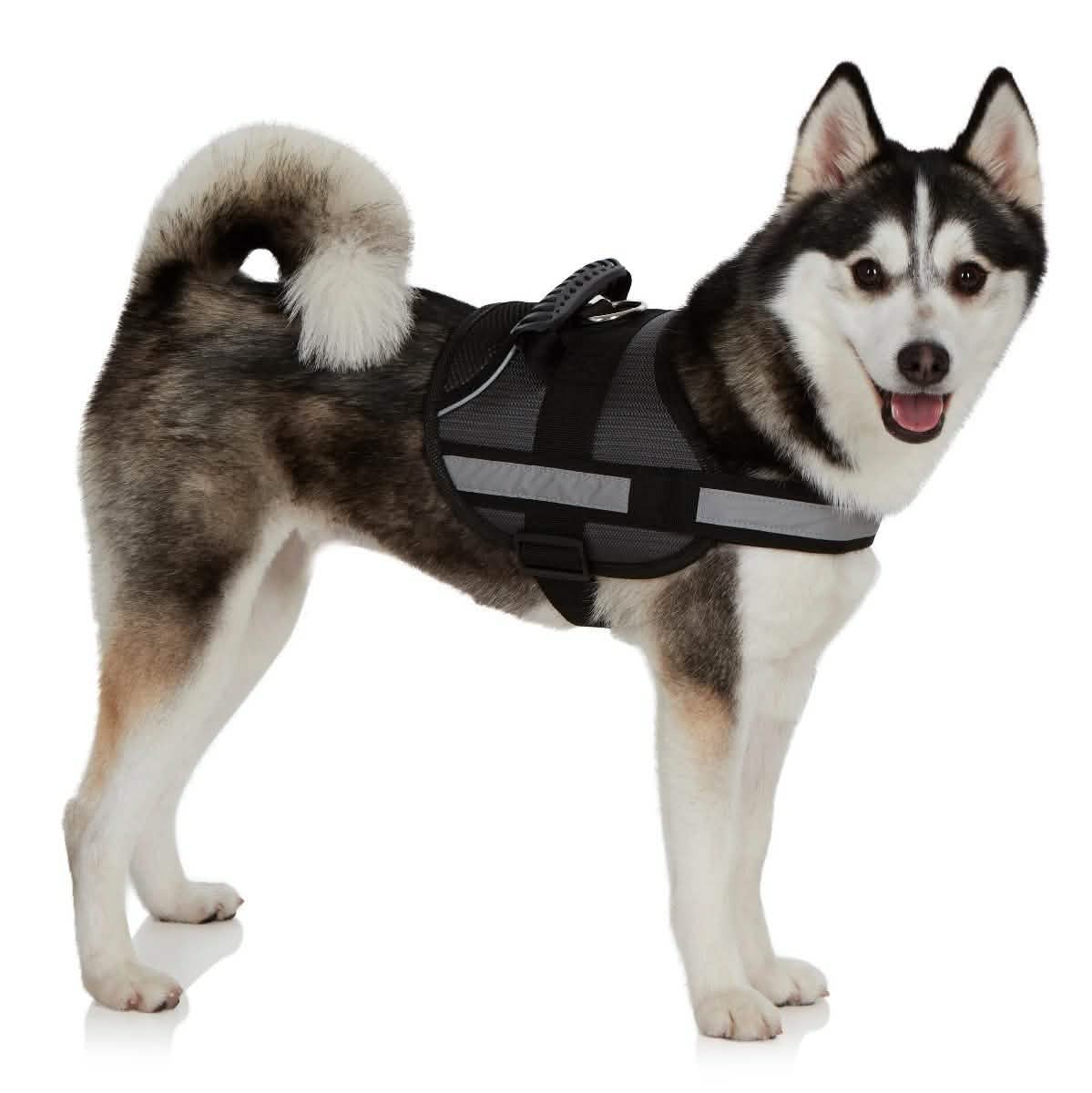 Ez-Pet Vest Collar Soft Adjustable Harness