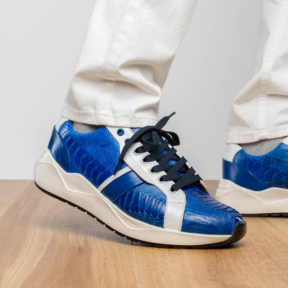 Lyon Blue / White