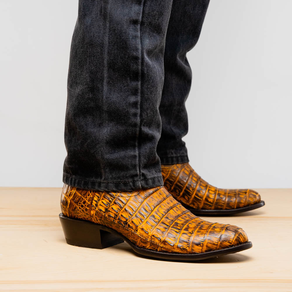 Phoenix Mustard Brown