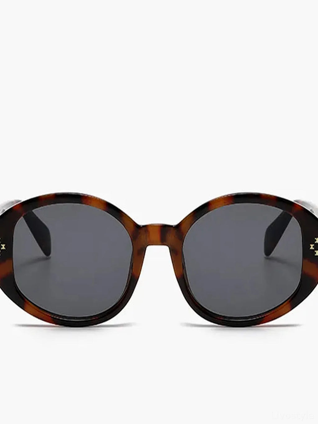 Polycarbonate Frame Oval Sunglasses