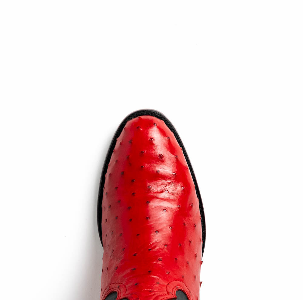Savannah Red